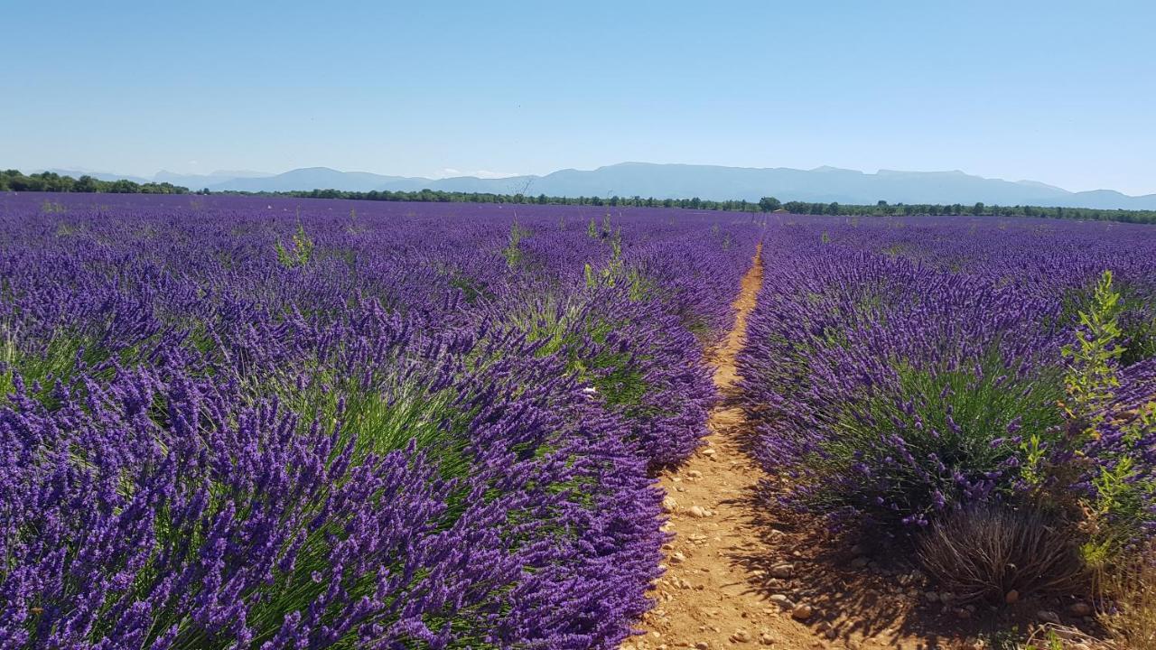 Logement Tout Confort Au Calme Entre Saint Tropez Et Les Gorges Du Verdon 르토로네 외부 사진